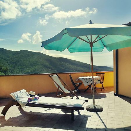 Casale Pundarika Guest House Riparbella Bagian luar foto