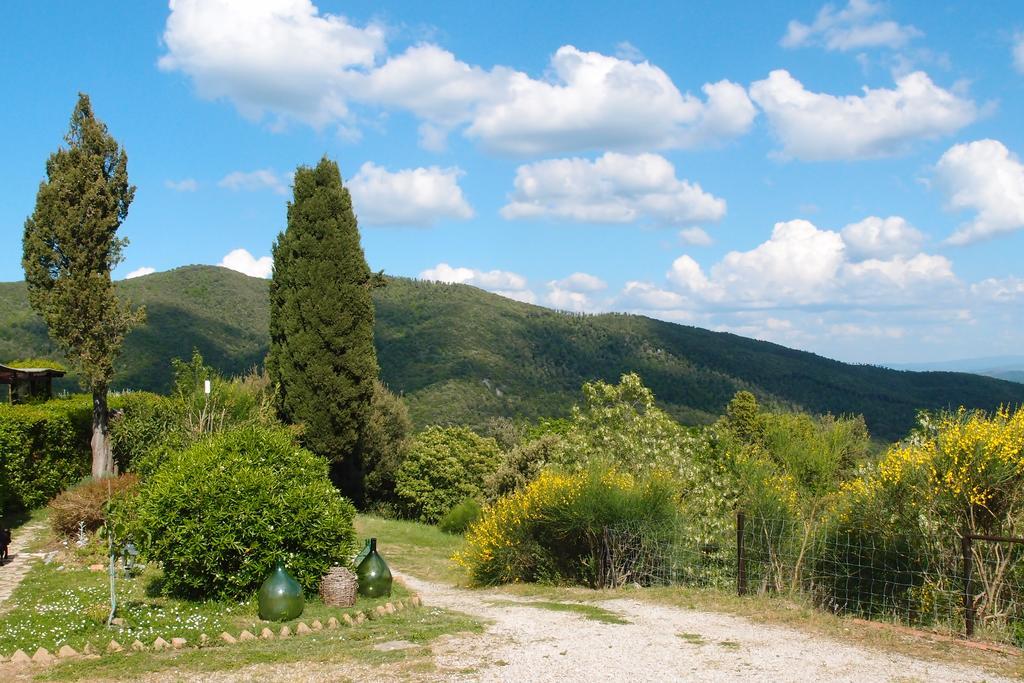 Casale Pundarika Guest House Riparbella Bagian luar foto