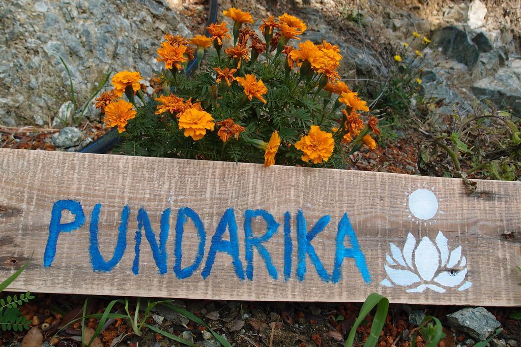Casale Pundarika Guest House Riparbella Bagian luar foto